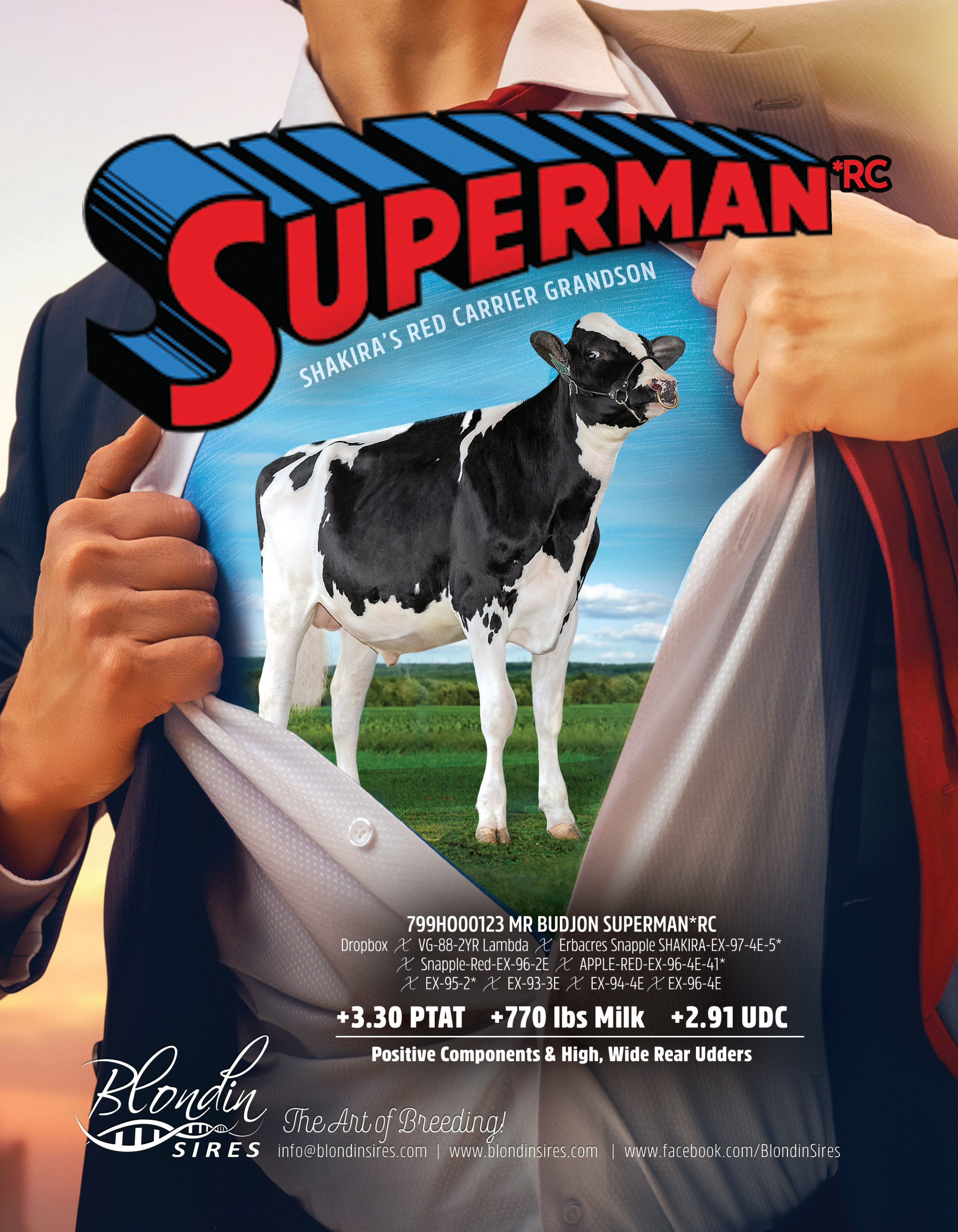 SUPERMAN — 799HO00123